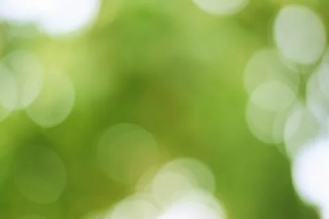 Abstract green background with blurred light, focus blur for template Stock Photos