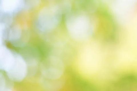 Abstract green background with blurred light, focus blur for template Stock Photos