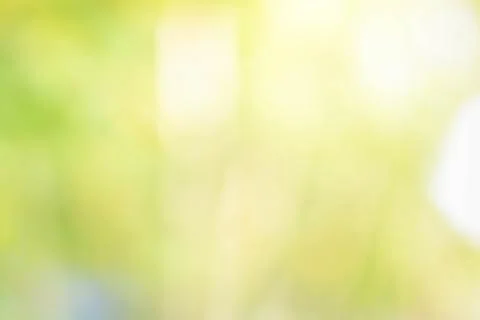 Abstract green background with blurred light, focus blur for template Stock Photos