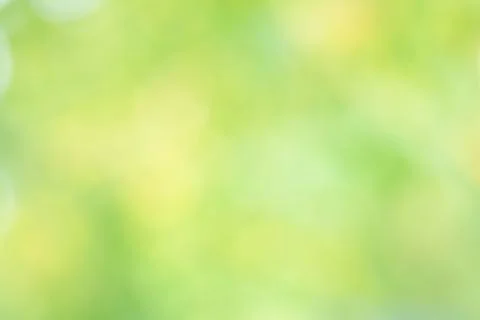 Abstract green background with blurred light, focus blur for template Stock Photos