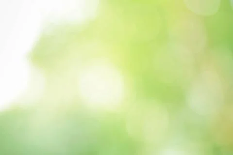 Abstract green background with blurred light, focus blur for template Foto stock