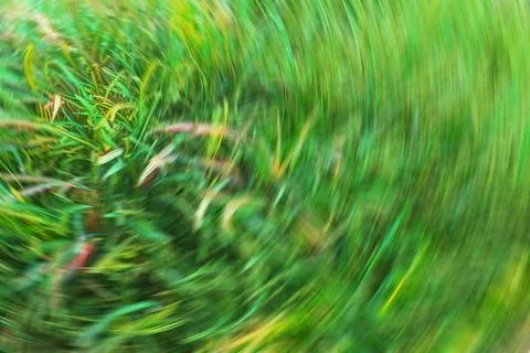 Abstract green background, defocused grass swirl Stock-Fotos