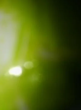 Abstract green background with different blurry elements 写真素材