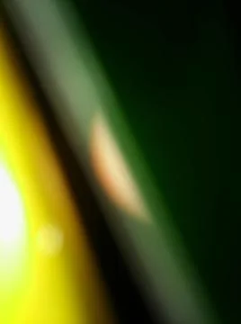 Abstract green background with different blurry elements 写真素材