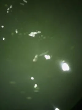 Abstract green background with different elements Foto stock