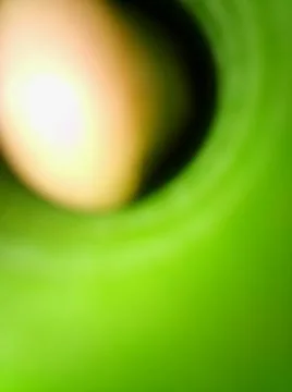 Abstract green background with different elements Fotos de archivo