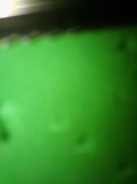 Abstract green background with different elements 스톡 사진