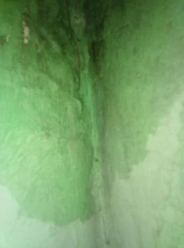 Abstract green background with different elements in blurry effect Stock Photos