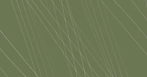 Abstract green background with dynamic White3d lines. template for editing Видео 162379381