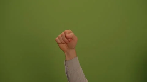 An Abstract Green Background that Features a Subtle Yet Visually Appealing 動画素材 293326707