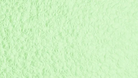 Abstract green background with fine shell structure in motion (FULL HD) Stock Footage 102430314