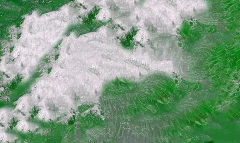 The abstract green background forms unique white patterns on the surface. Stock Photos