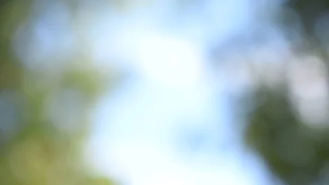 Abstract green background. Natural background blur Stock Footage 124649206
