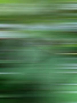 Abstract green background of nature. Close-up of unfocused horizontal stripes Illustration