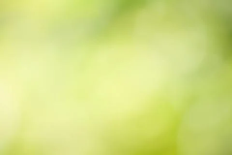Abstract green background . Stock Photos