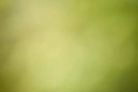 Abstract green background . Stock Photos