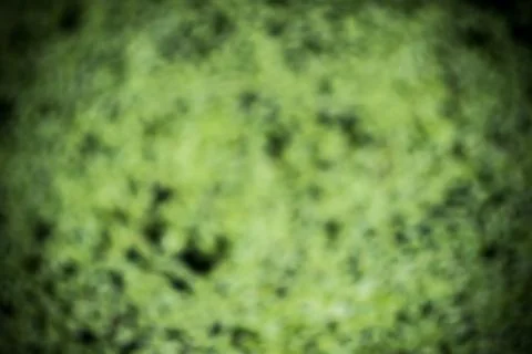 Abstract green background Stock Photos