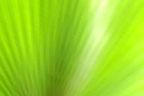 Abstract green background Stock Photos