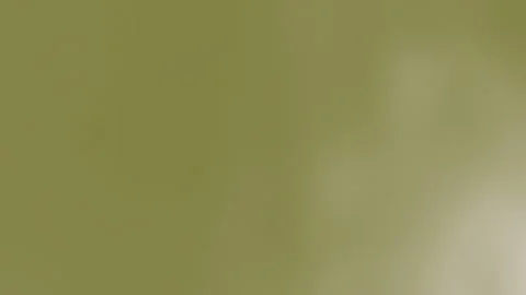 Abstract Green Background Shifting in Soft Blurred Light 스톡 동영상 335498052