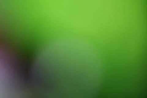 Abstract green background with soft out of focus natural light gradients Stock Illustration