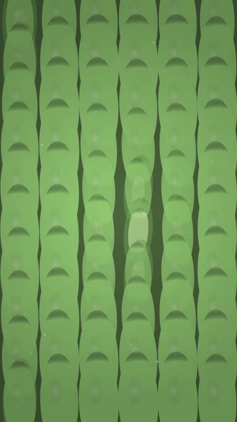 Abstract Green Bamboo Stalks Pattern, Soft Focus, Natural Organic Texture Stock Footage 347698318
