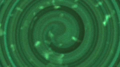 Abstract Green Black Swirl Vortex Motion Background with Particles Видео 343773630