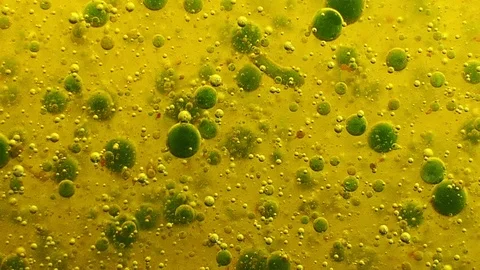 Abstract green blob and fast bubbles science background Stock-Footage 103200973