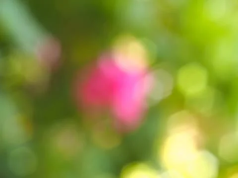 Abstract green blur background Stock Photos