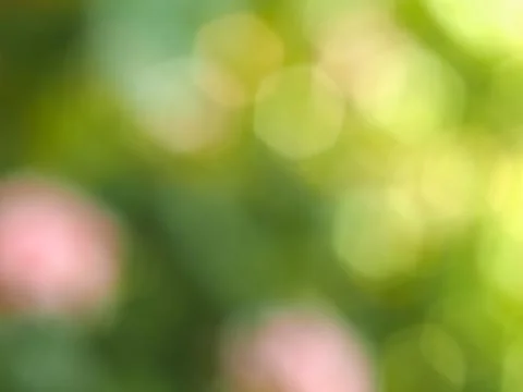 Abstract green blur background Foto stock