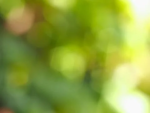 Abstract green blur background Stock Photos