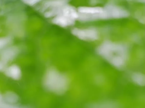 Abstract Green Blur Background with Soft Natural Bokeh Stock Photos