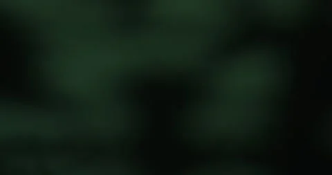 Abstract Green Blurred Bokeh Background Stock Footage 328013712