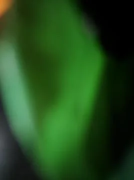 Abstract green blurry background with different elements  with shadows and li 스톡 사진