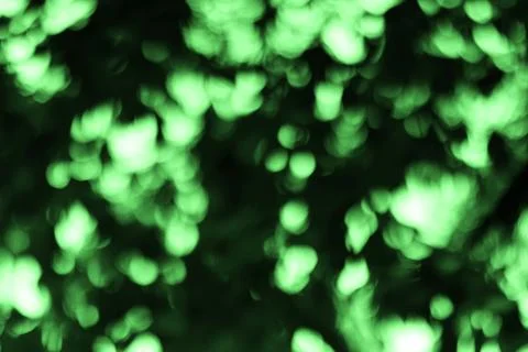 Abstract Green Bokeh Background, Capturing Dreamy, Soft Lights and Shades, .. Stock Photos