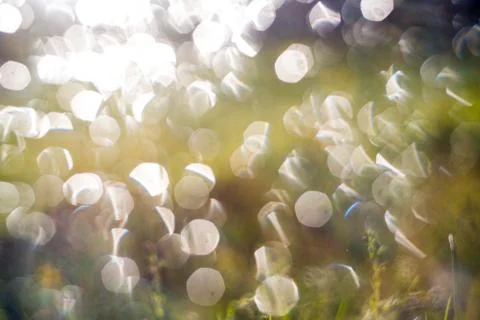 Abstract green bokeh background. Element of design. Stock Photos