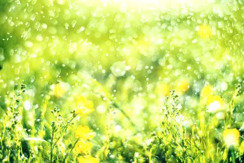 Abstract green bokeh background. Element of design. Stock Photos
