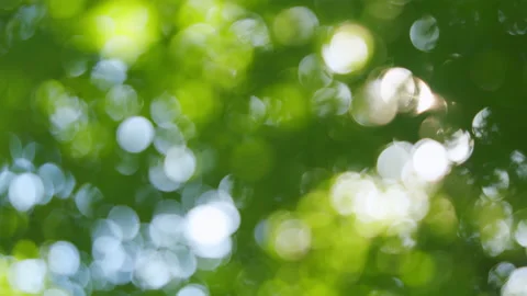 Green Bokeh Stock Video Footage | Royalty Free Green Bokeh Videos | Pond5