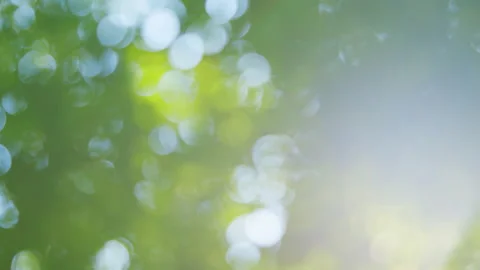 Green Bokeh Stock Video Footage | Royalty Free Green Bokeh Videos | Pond5