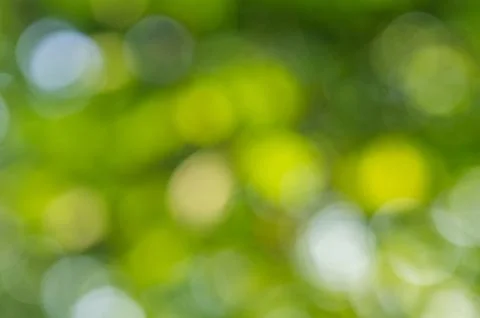 Abstract Green Bokeh Background Stock Photos