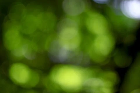 Abstract green bokeh background. Soft out of focus nature light for artisti.. Stock Photos