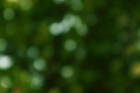 Abstract Green Bokeh Background Texture Stock Photos