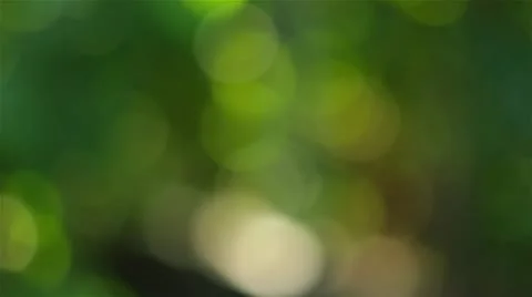 Abstract green bokeh Stock Footage 10708923