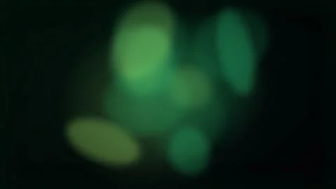 Abstract Green Bokeh Lights on Black Background Stock Footage 340595945
