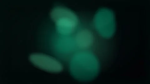 Abstract Green Bokeh Lights on Black Background 库存影片 340596767