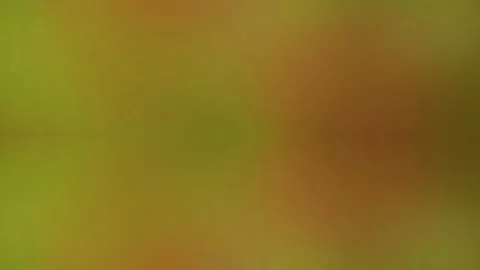 Abstract Green Brown Gradient Background. Stock Footage 329290487