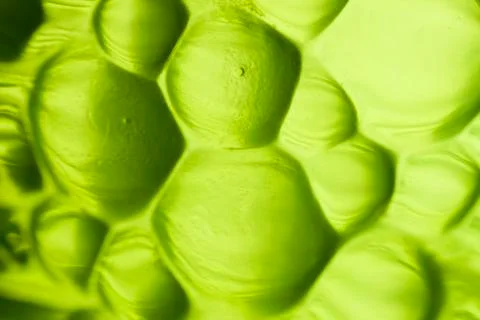 Abstract green bubble Stock Photos