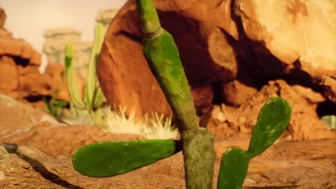 Abstract Green Cactus Desert Background Loop Stock-Footage 196936108