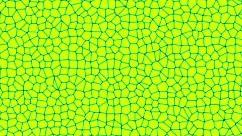 Abstract Green Cells Forming Stripes With Black Background Cinematic Motion Stock Footage 340900446