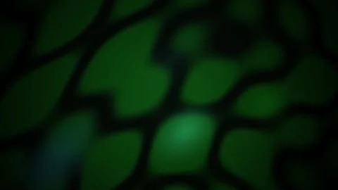 Abstract Green Cellular Network Motion Background for Digital Presentations Stock Footage 344716184