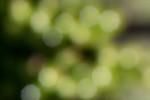 Abstract green circular bokeh background Stock Photos